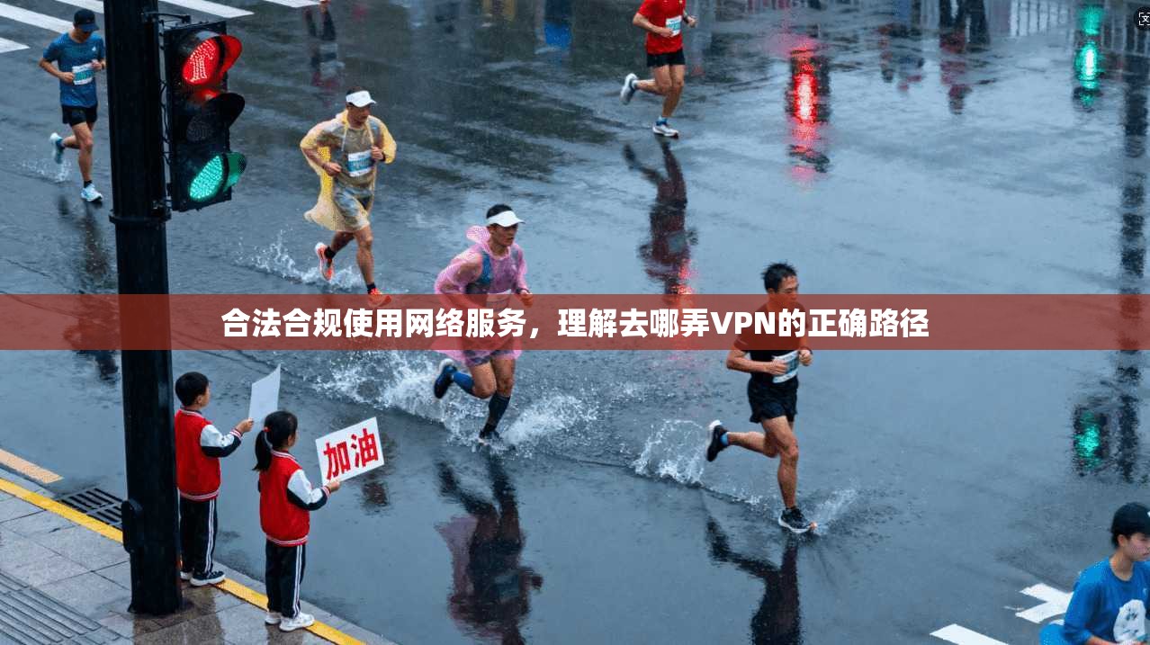 合法合规使用网络服务，理解去哪弄VPN的正确路径  第1张