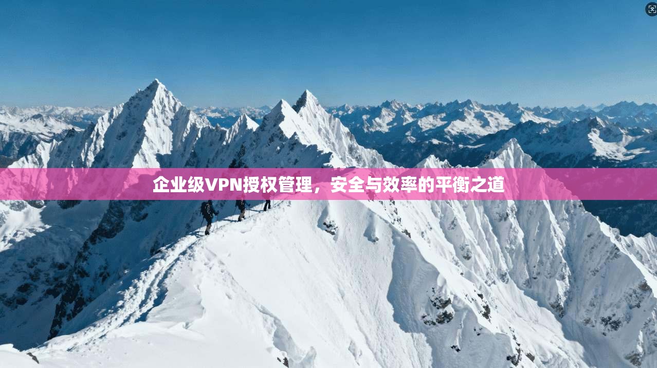 企业级VPN授权管理，安全与效率的平衡之道  第1张