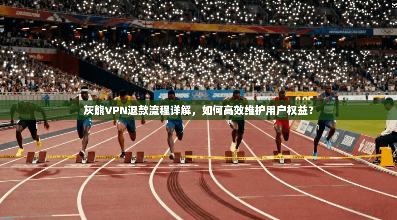 灰熊VPN退款流程详解，如何高效维护用户权益？  第1张
