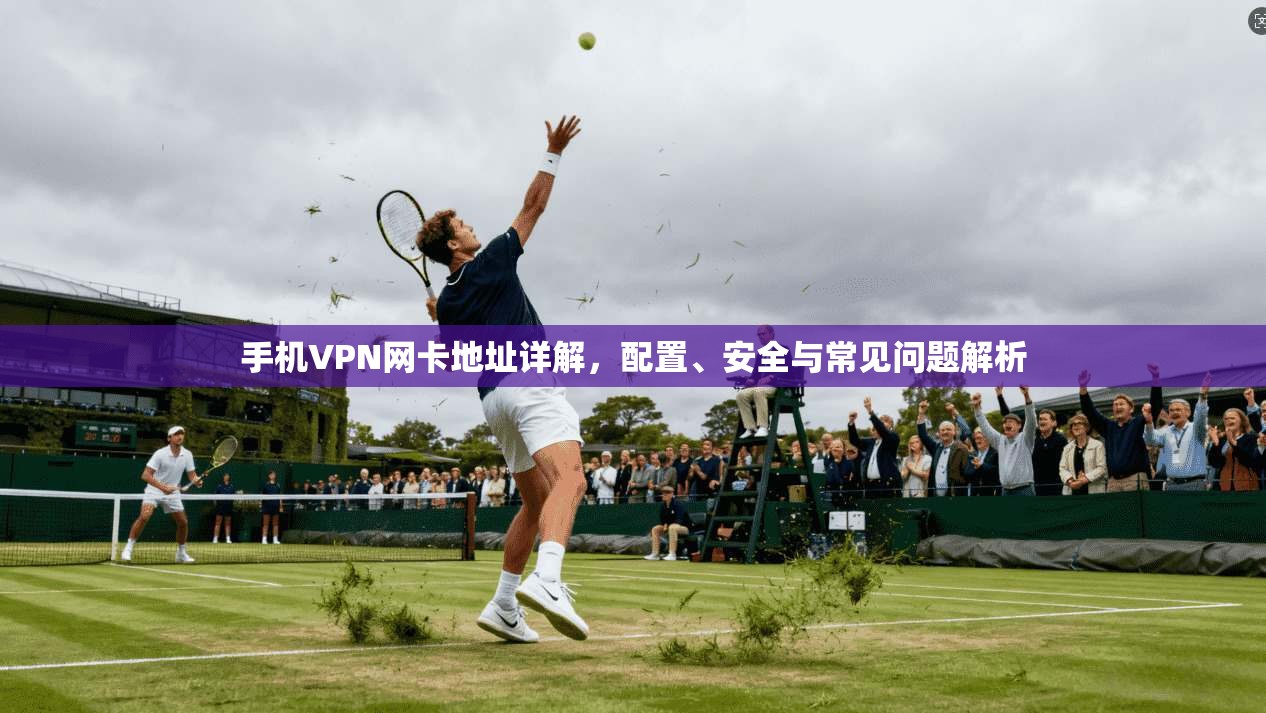 手机VPN网卡地址详解，配置、安全与常见问题解析  第1张