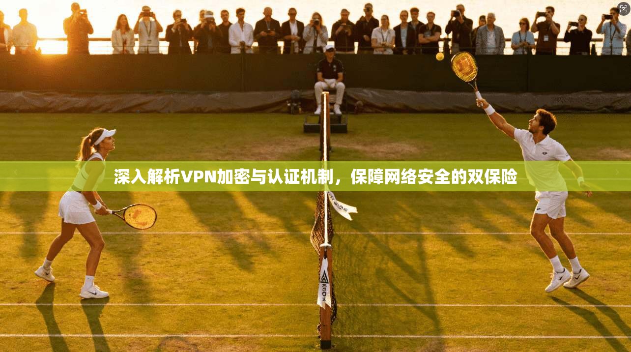 深入解析VPN加密与认证机制，保障网络安全的双保险  第1张