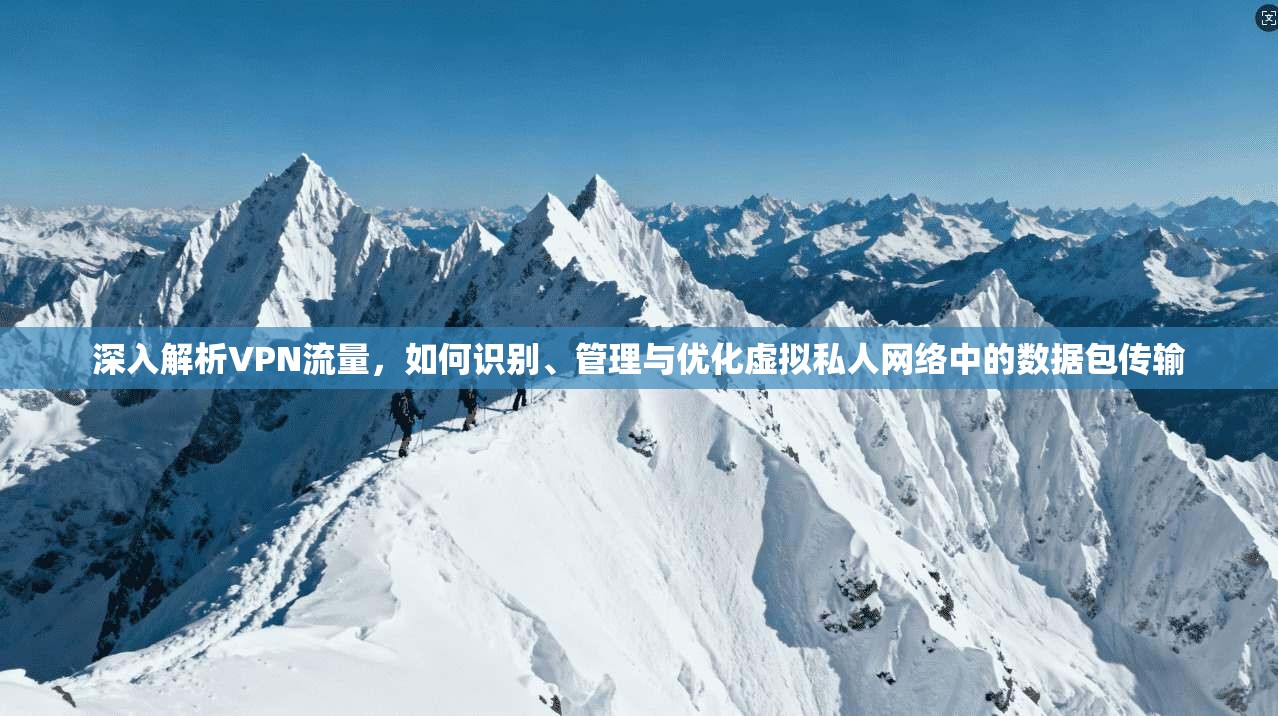 深入解析VPN流量，如何识别、管理与优化虚拟私人网络中的数据包传输  第1张
