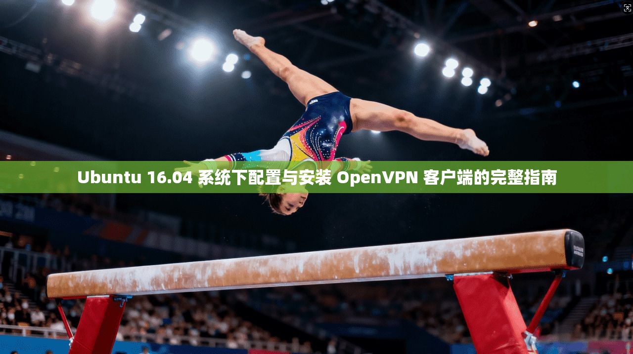 Ubuntu 16.04 系统下配置与安装 OpenVPN 客户端的完整指南  第1张