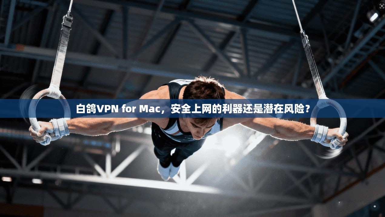 白鸽VPN for Mac，安全上网的利器还是潜在风险？  第1张