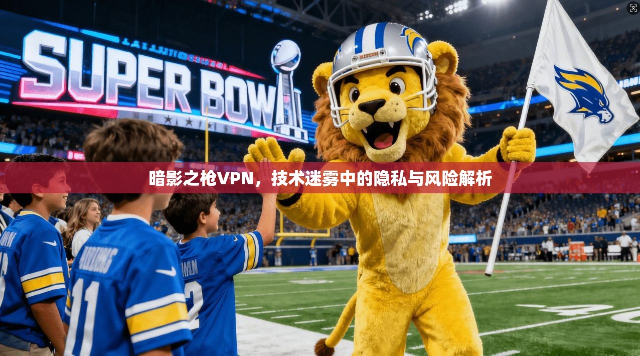 暗影之枪VPN，技术迷雾中的隐私与风险解析  第1张