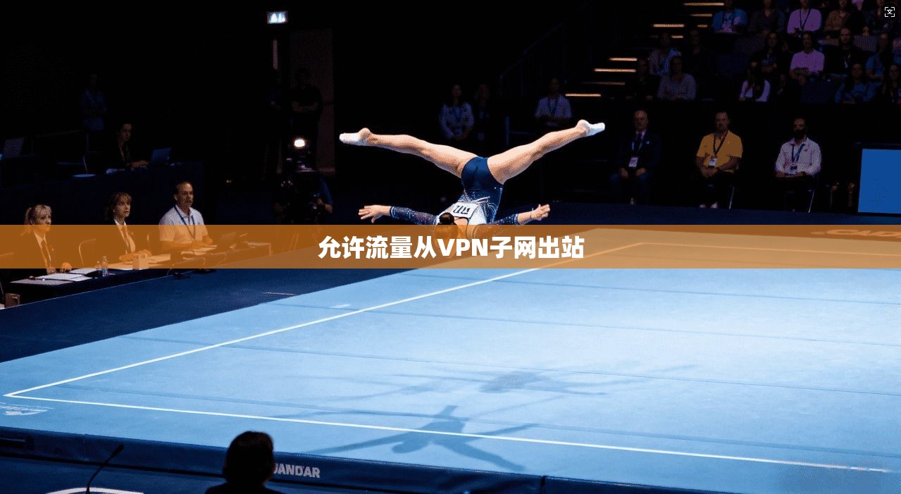 允许流量从VPN子网出站  第1张