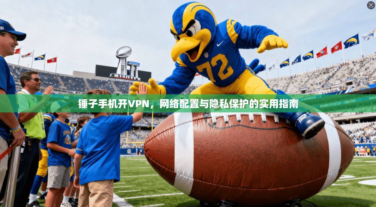 锤子手机开VPN，网络配置与隐私保护的实用指南  第1张