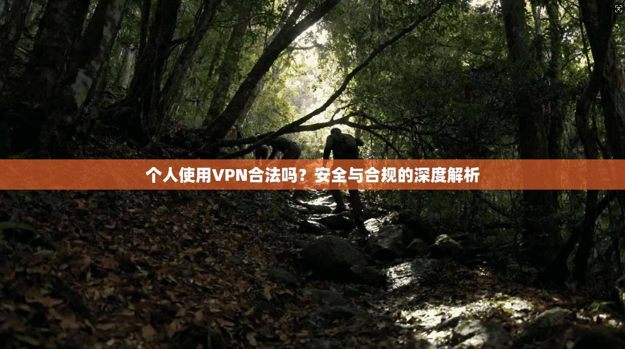 个人使用VPN合法吗？安全与合规的深度解析  第1张