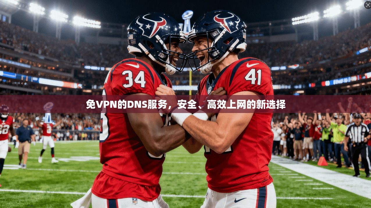 免VPN的DNS服务，安全、高效上网的新选择  第1张