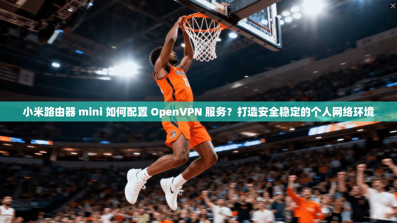 小米路由器 mini 如何配置 OpenVPN 服务？打造安全稳定的个人网络环境  第1张