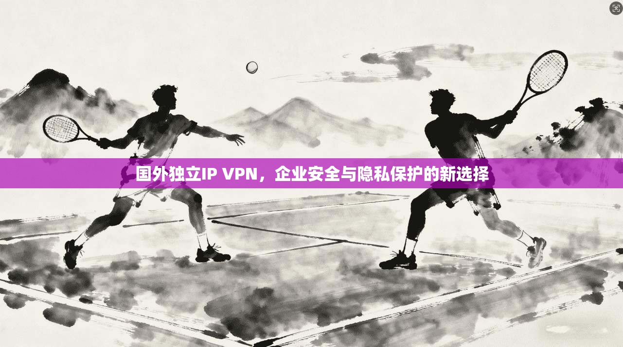 国外独立IP VPN，企业安全与隐私保护的新选择  第1张