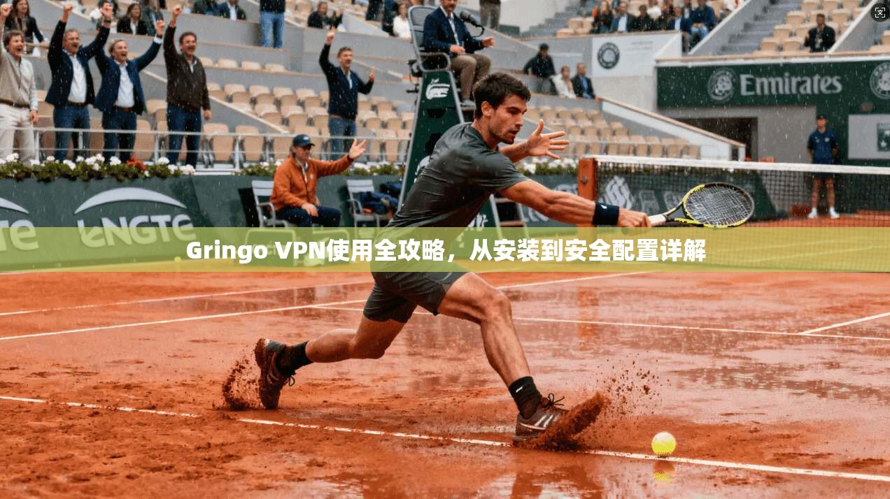 Gringo VPN使用全攻略，从安装到安全配置详解  第1张