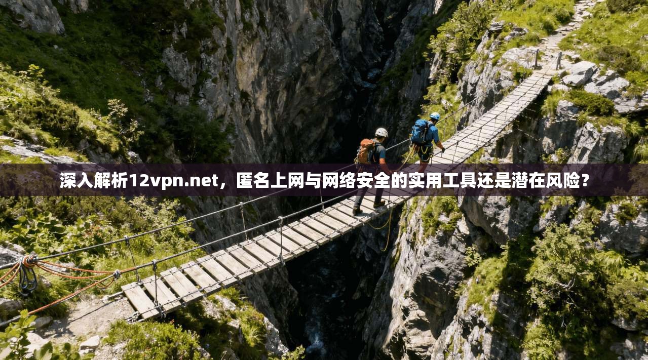 深入解析12vpn.net，匿名上网与网络安全的实用工具还是潜在风险？  第1张
