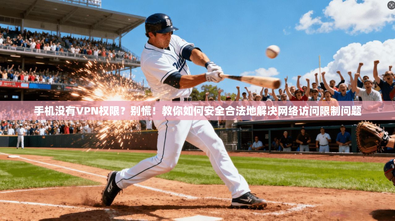 手机没有VPN权限?别慌!教你如何安全合法地解决网络访问限制问题 第1张 手机没有VPN权限?别慌!教你如何安全合法地解决网络访问限制问题 第1张