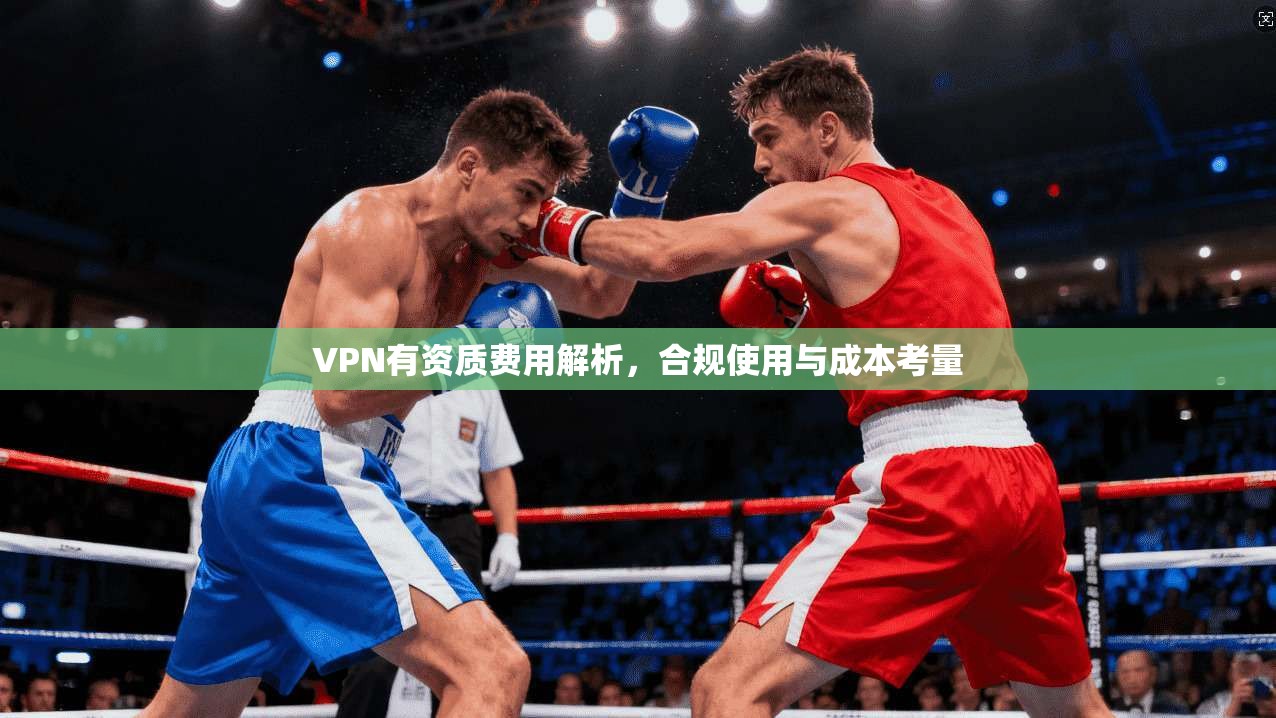VPN有资质费用解析，合规使用与成本考量  第1张
