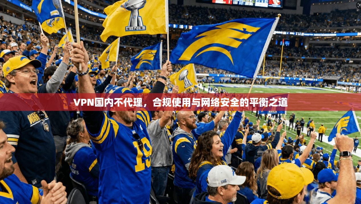 VPN国内不代理，合规使用与网络安全的平衡之道  第1张