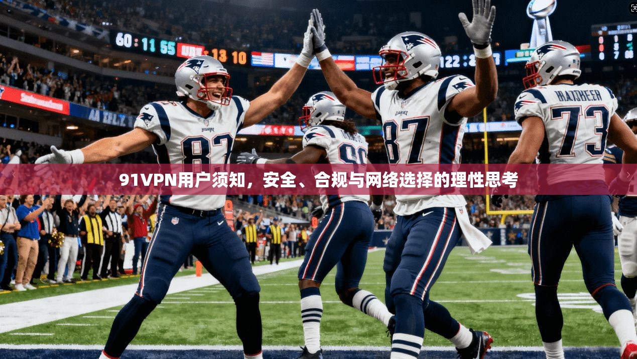 91VPN用户须知，安全、合规与网络选择的理性思考  第1张