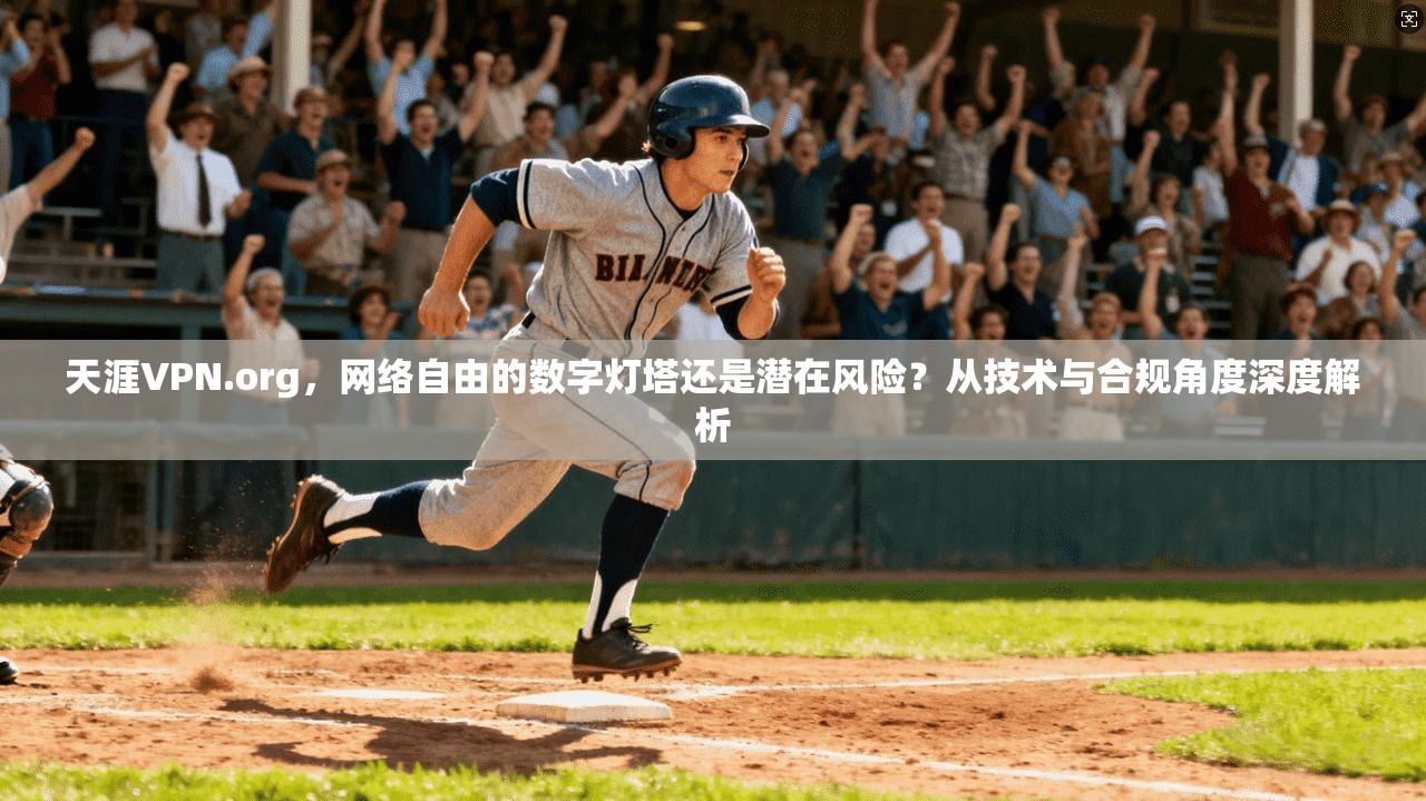 天涯VPN.org，网络自由的数字灯塔还是潜在风险？从技术与合规角度深度解析  第1张