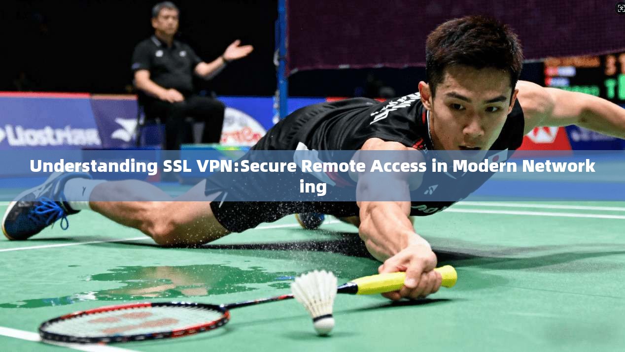 Understanding SSL VPN:Secure Remote Access in Modern Networking  第1张