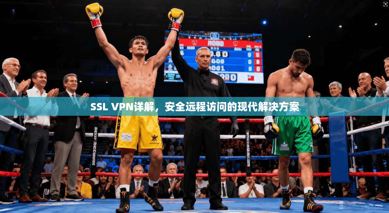 SSL VPN详解，安全远程访问的现代解决方案  第1张