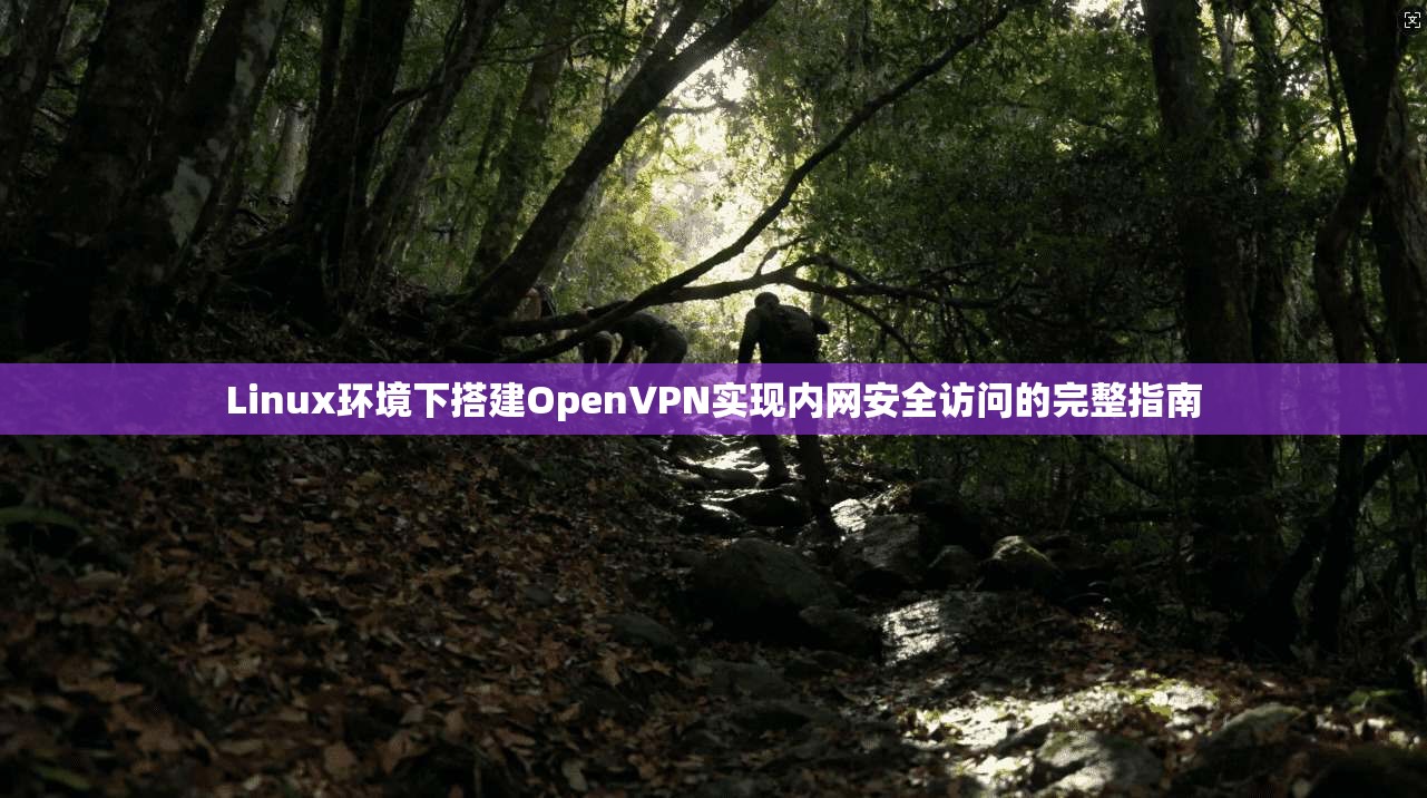 Linux环境下搭建OpenVPN实现内网安全访问的完整指南  第1张