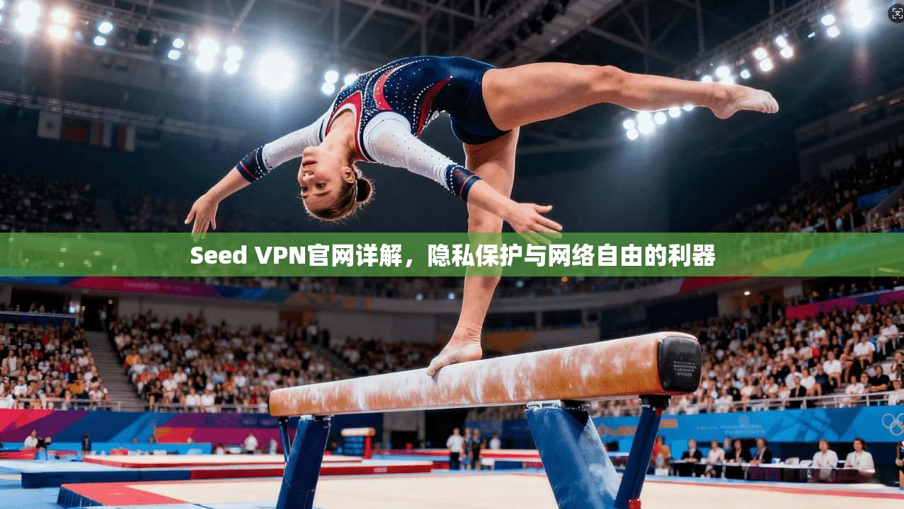 Seed VPN官网详解，隐私保护与网络自由的利器  第1张