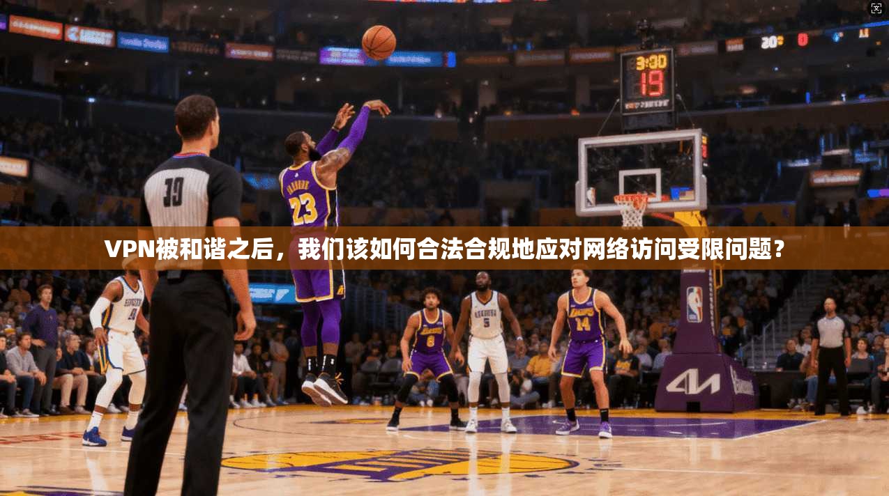 VPN被和谐之后，我们该如何合法合规地应对网络访问受限问题？  第1张