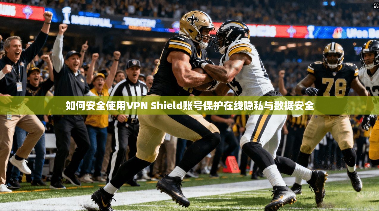 如何安全使用VPN Shield账号保护在线隐私与数据安全  第1张