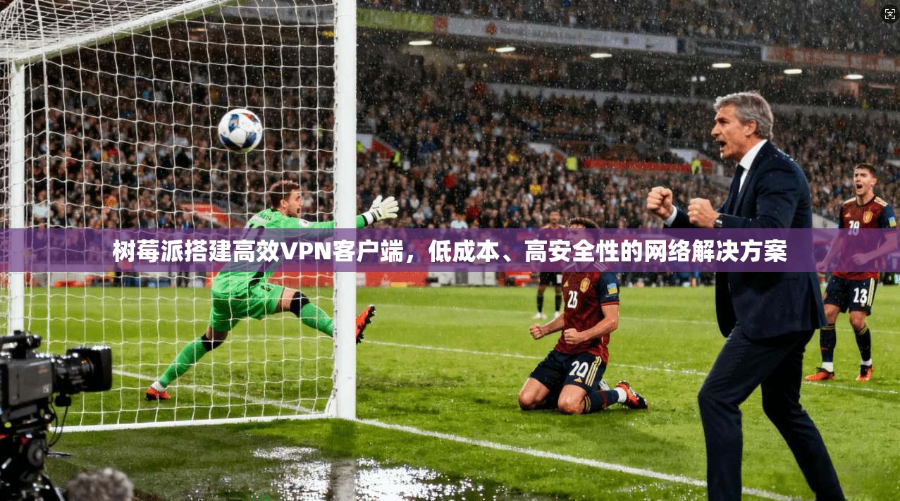 树莓派搭建高效VPN客户端，低成本、高安全性的网络解决方案  第1张