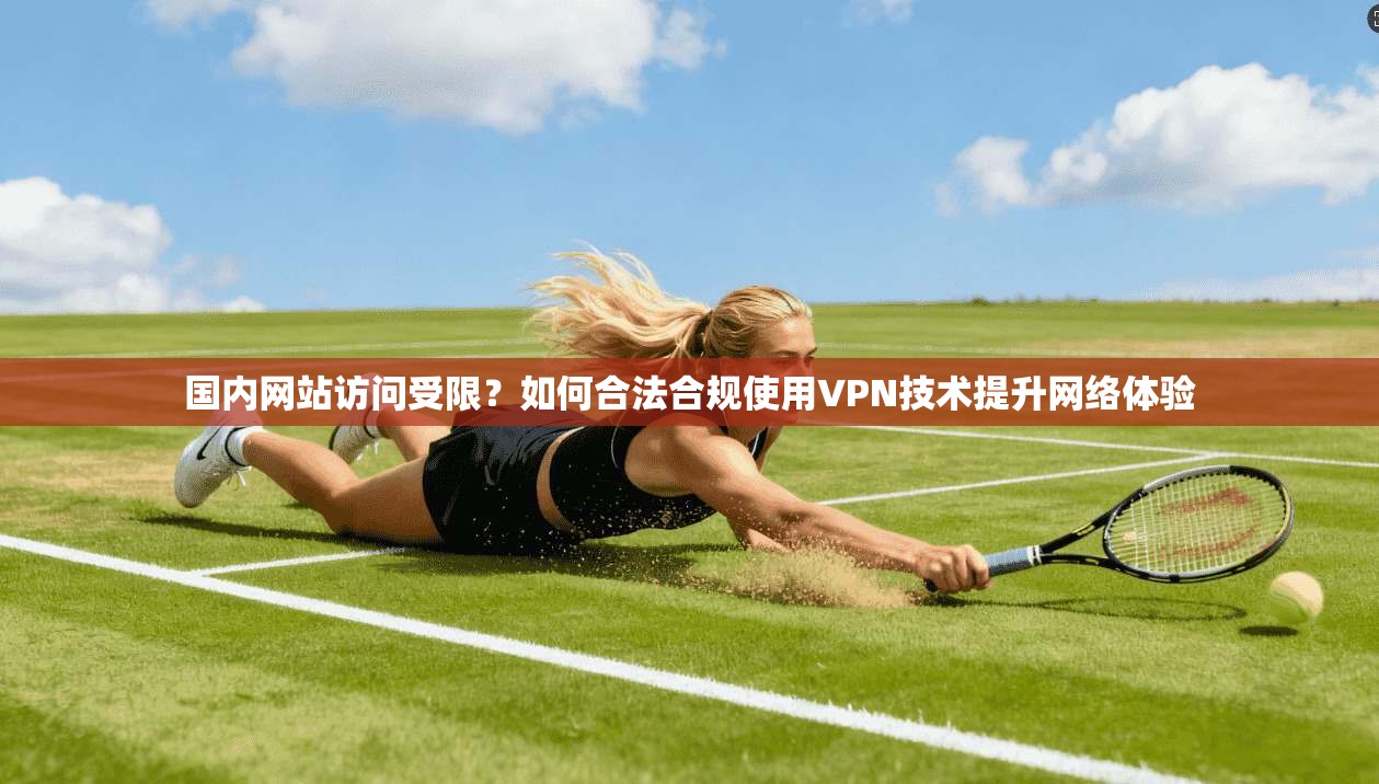 国内网站访问受限？如何合法合规使用VPN技术提升网络体验  第1张
