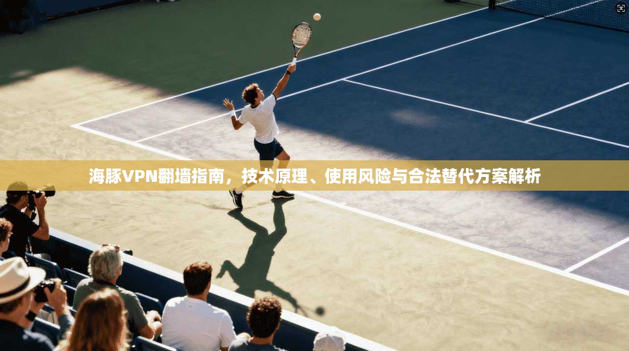 海豚VPN翻墙指南，技术原理、使用风险与合法替代方案解析  第1张