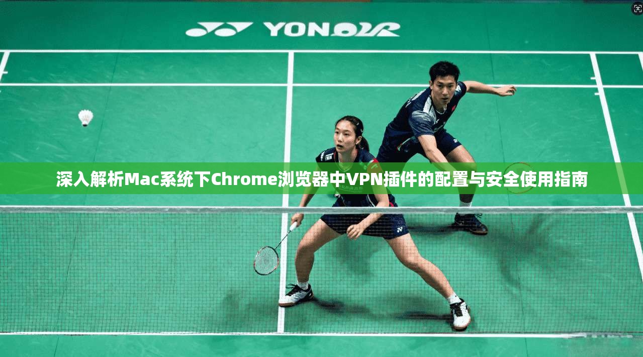 深入解析Mac系统下Chrome浏览器中VPN插件的配置与安全使用指南  第1张
