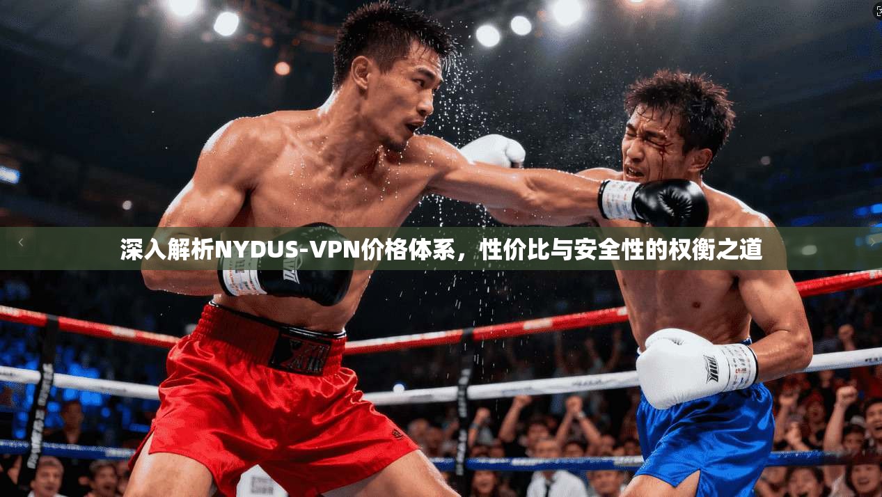 深入解析NYDUS-VPN价格体系，性价比与安全性的权衡之道  第1张
