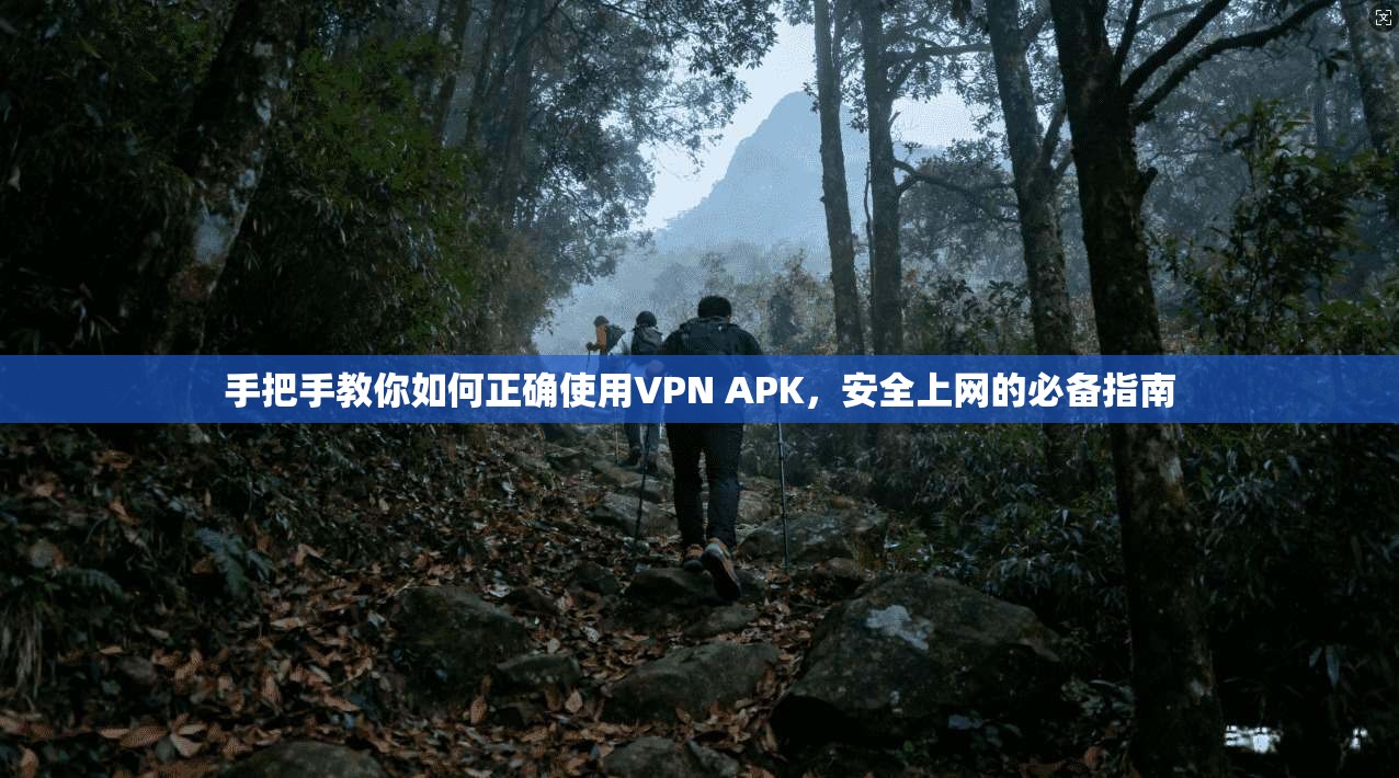 手把手教你如何正确使用VPN APK，安全上网的必备指南  第1张