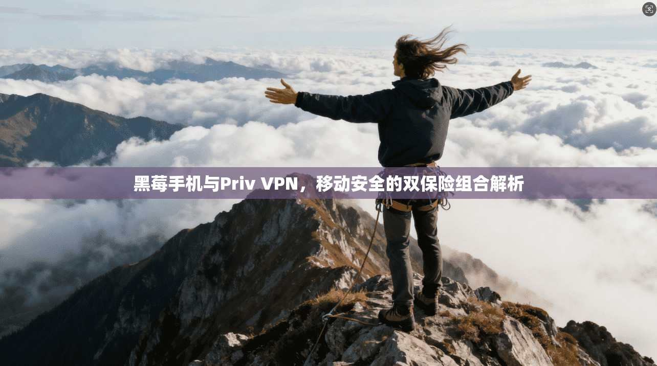黑莓手机与Priv VPN，移动安全的双保险组合解析  第1张