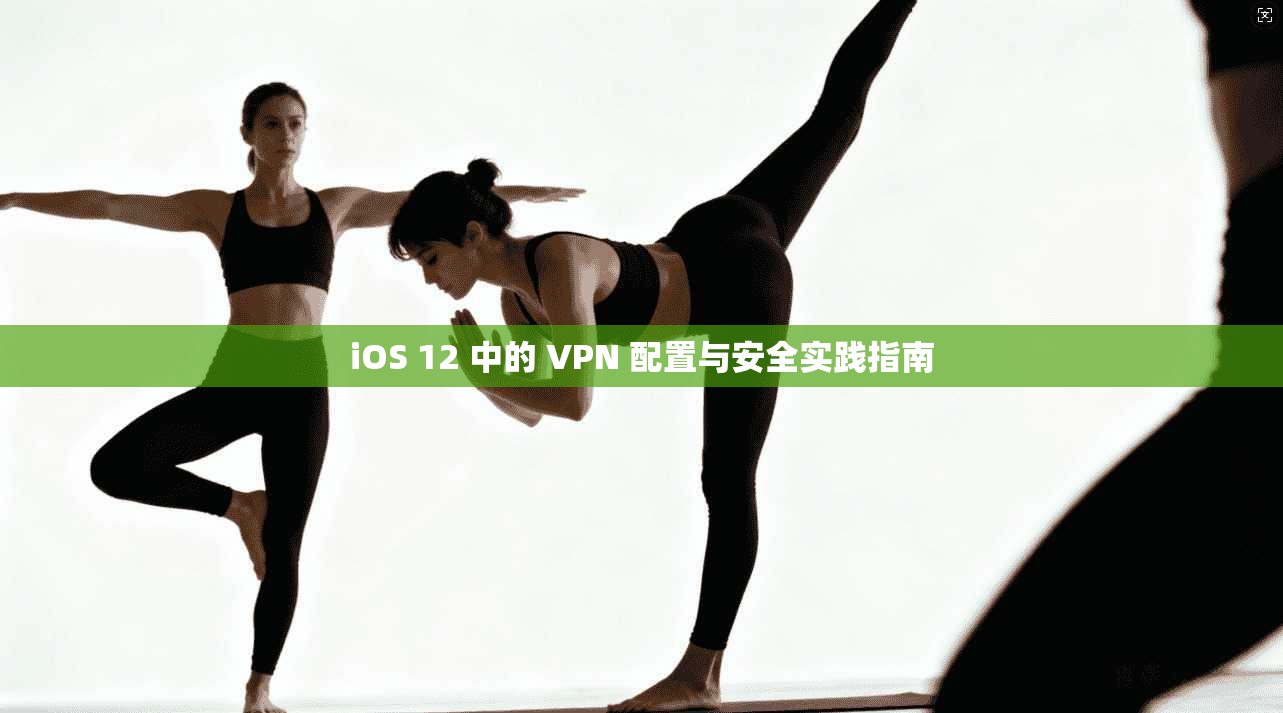 iOS 12 中的 VPN 配置与安全实践指南  第1张