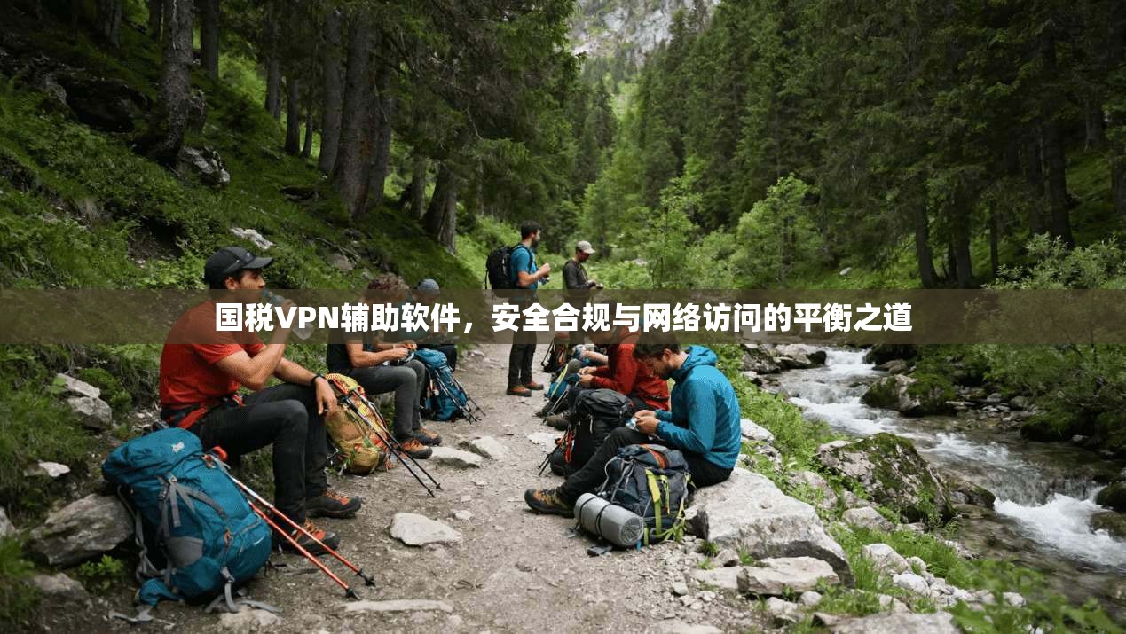 国税VPN辅助软件，安全合规与网络访问的平衡之道  第1张
