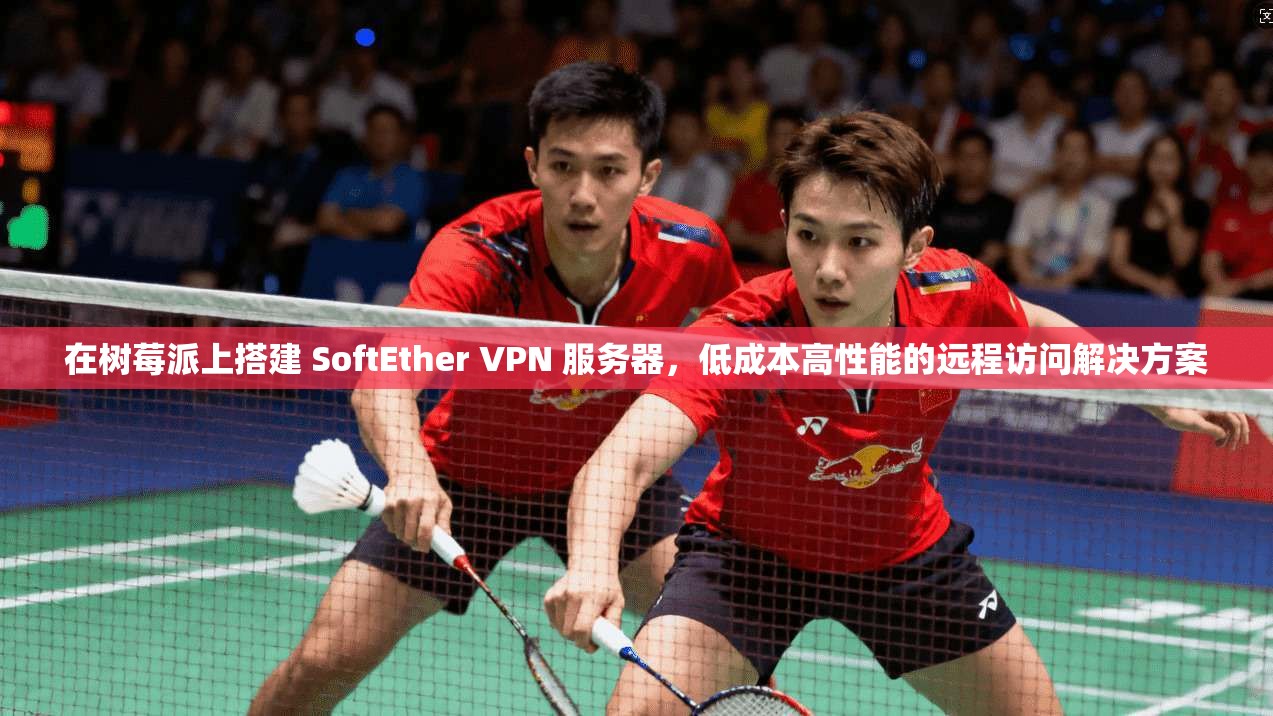 在树莓派上搭建 SoftEther VPN 服务器，低成本高性能的远程访问解决方案  第1张