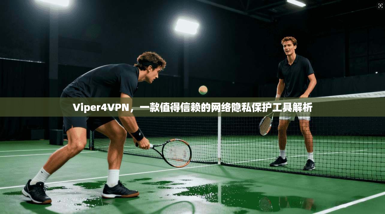 Viper4VPN，一款值得信赖的网络隐私保护工具解析  第1张