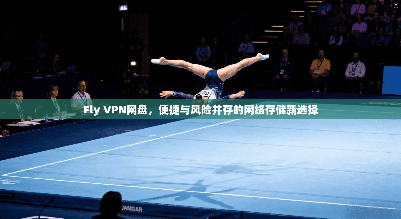 Fly VPN网盘，便捷与风险并存的网络存储新选择  第1张