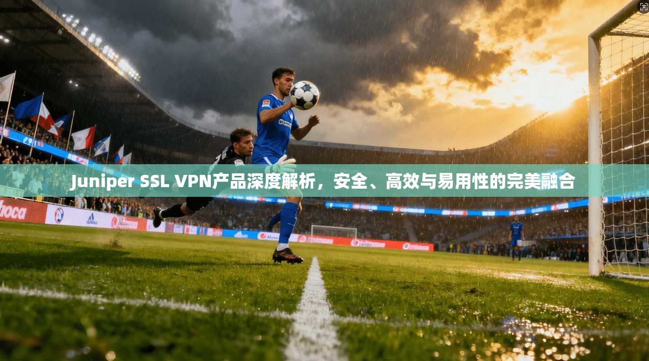 Juniper SSL VPN产品深度解析,安全、高效与易用性的完美融合 第1张 Juniper SSL VPN产品深度解析,安全、高效与易用性的完美融合 第1张