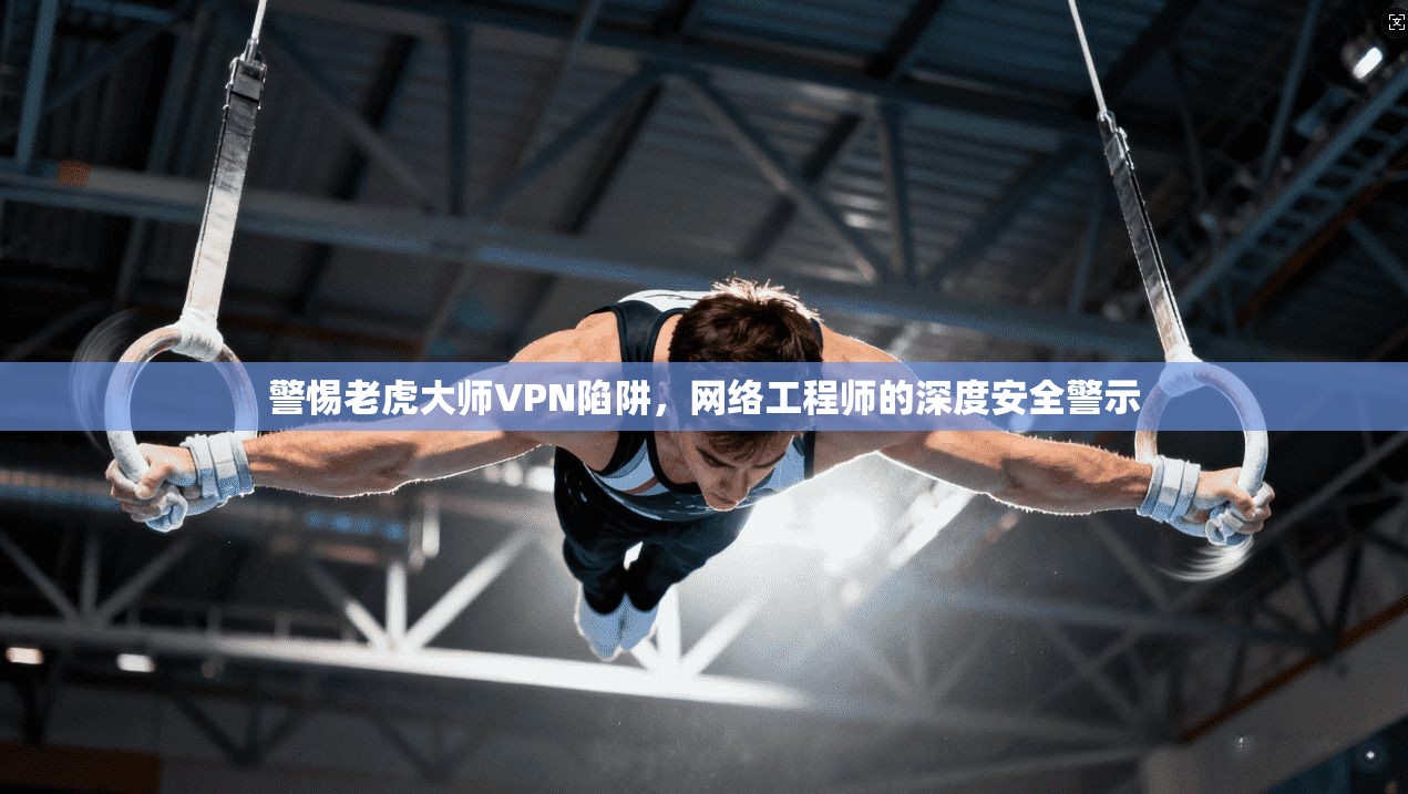 警惕老虎大师VPN陷阱，网络工程师的深度安全警示  第1张