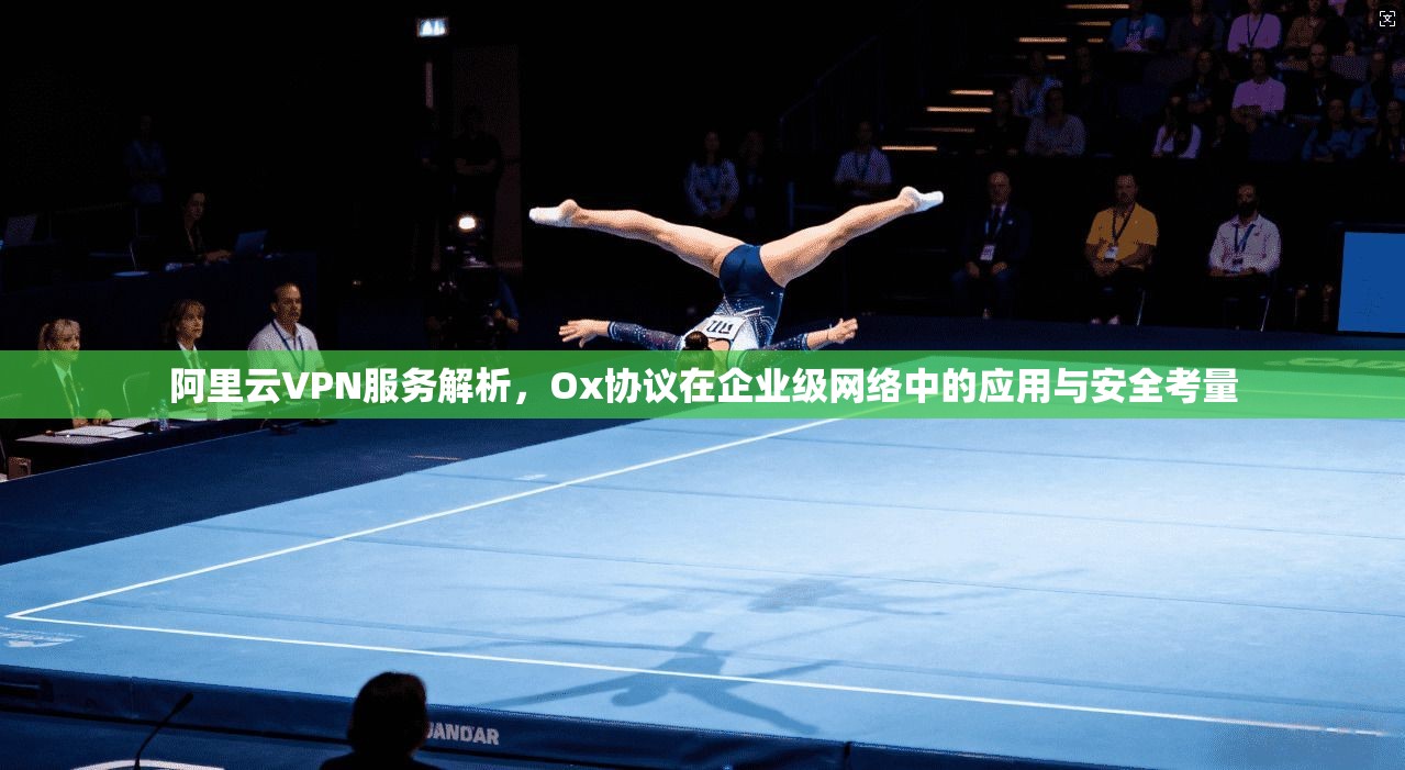 阿里云VPN服务解析，Ox协议在企业级网络中的应用与安全考量  第1张