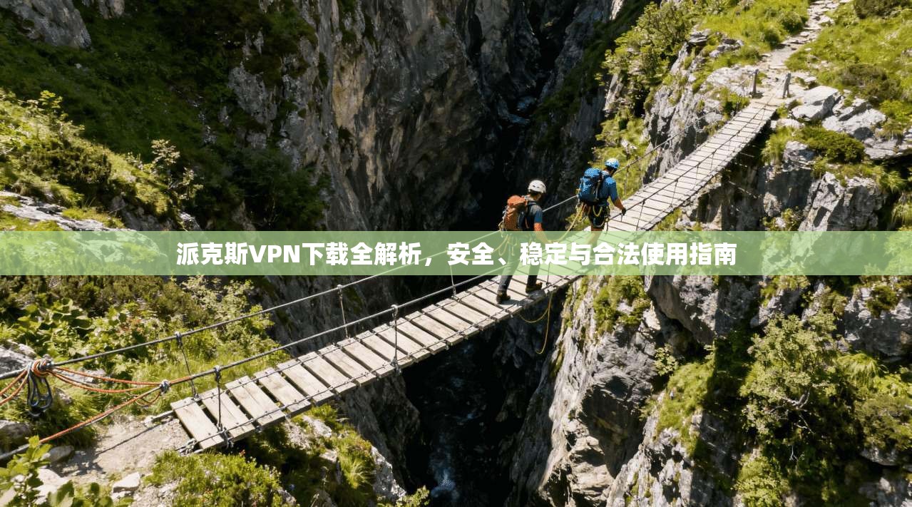 派克斯VPN下载全解析，安全、稳定与合法使用指南  第1张