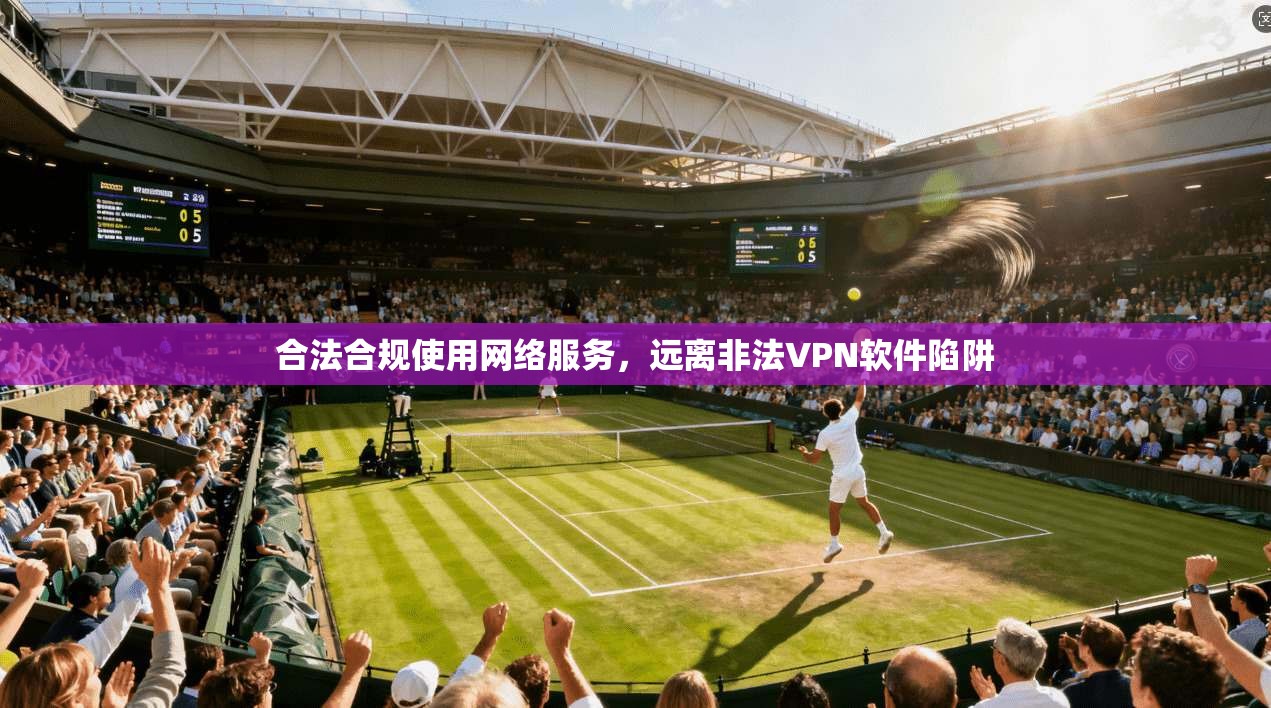 合法合规使用网络服务，远离非法VPN软件陷阱  第1张