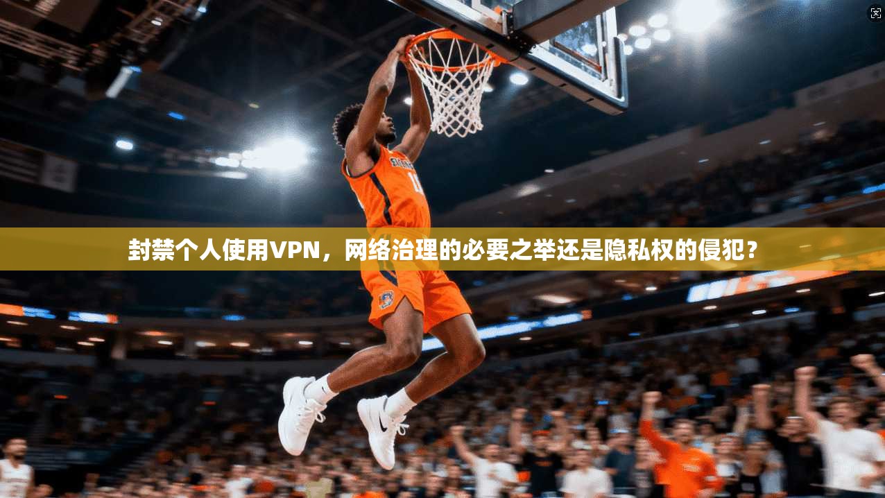 封禁个人使用VPN,网络治理的必要之举还是隐私权的侵犯? 第1张 封禁个人使用VPN,网络治理的必要之举还是隐私权的侵犯? 第1张