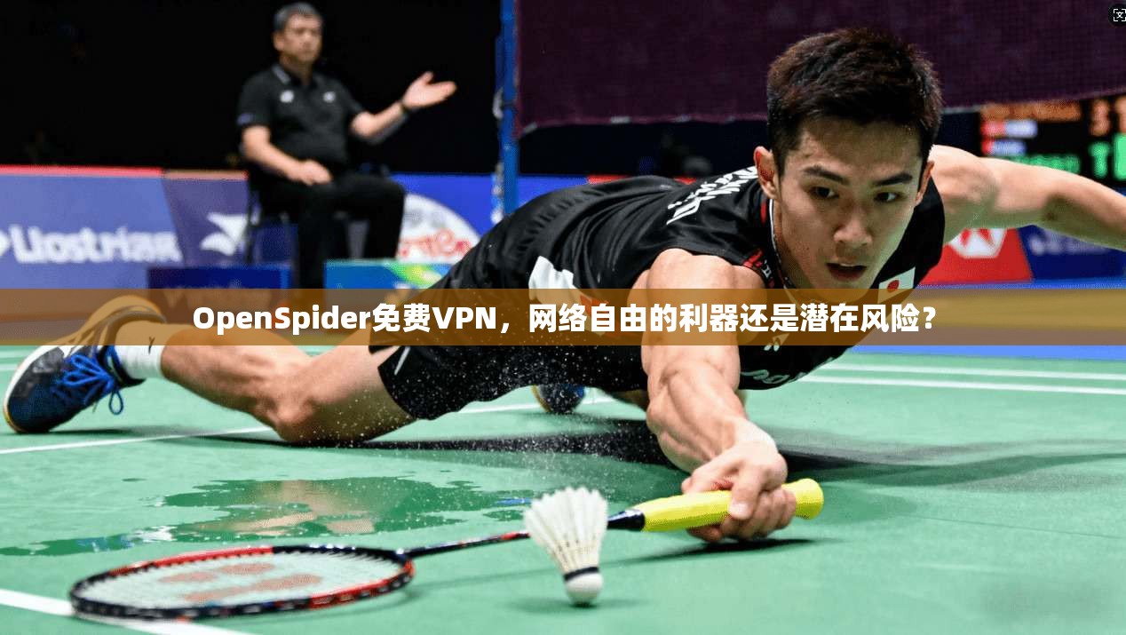 OpenSpider免费VPN，网络自由的利器还是潜在风险？  第1张