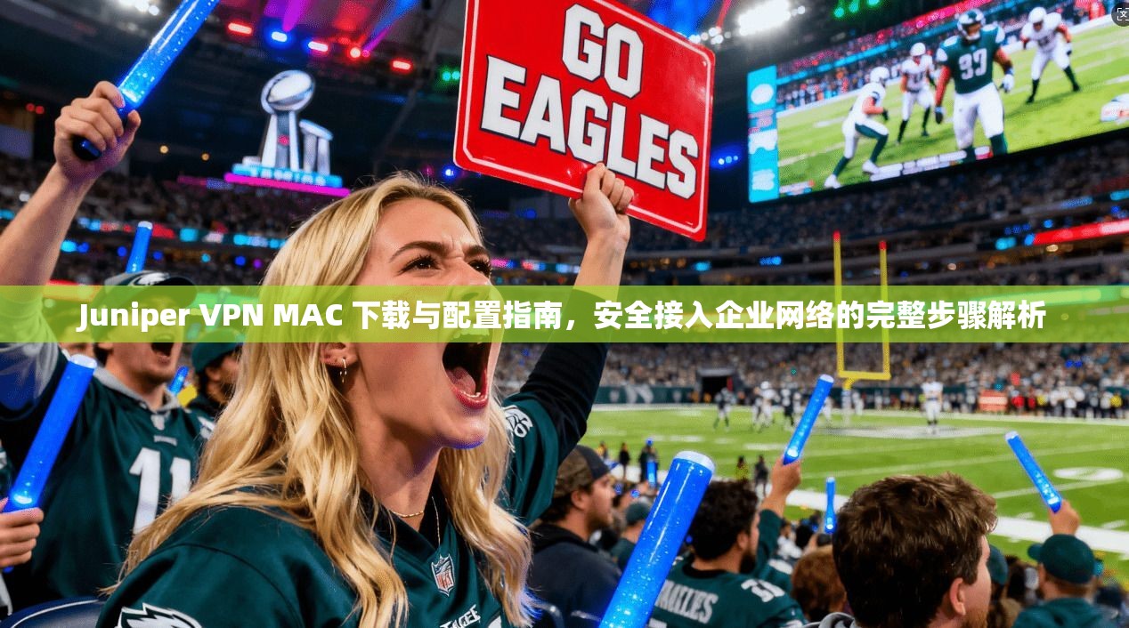 Juniper VPN MAC 下载与配置指南，安全接入企业网络的完整步骤解析  第1张