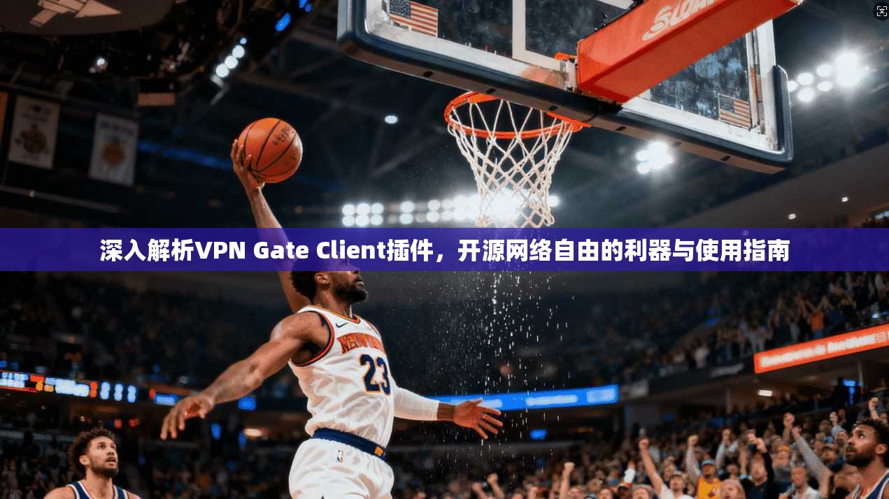 深入解析VPN Gate Client插件，开源网络自由的利器与使用指南  第1张