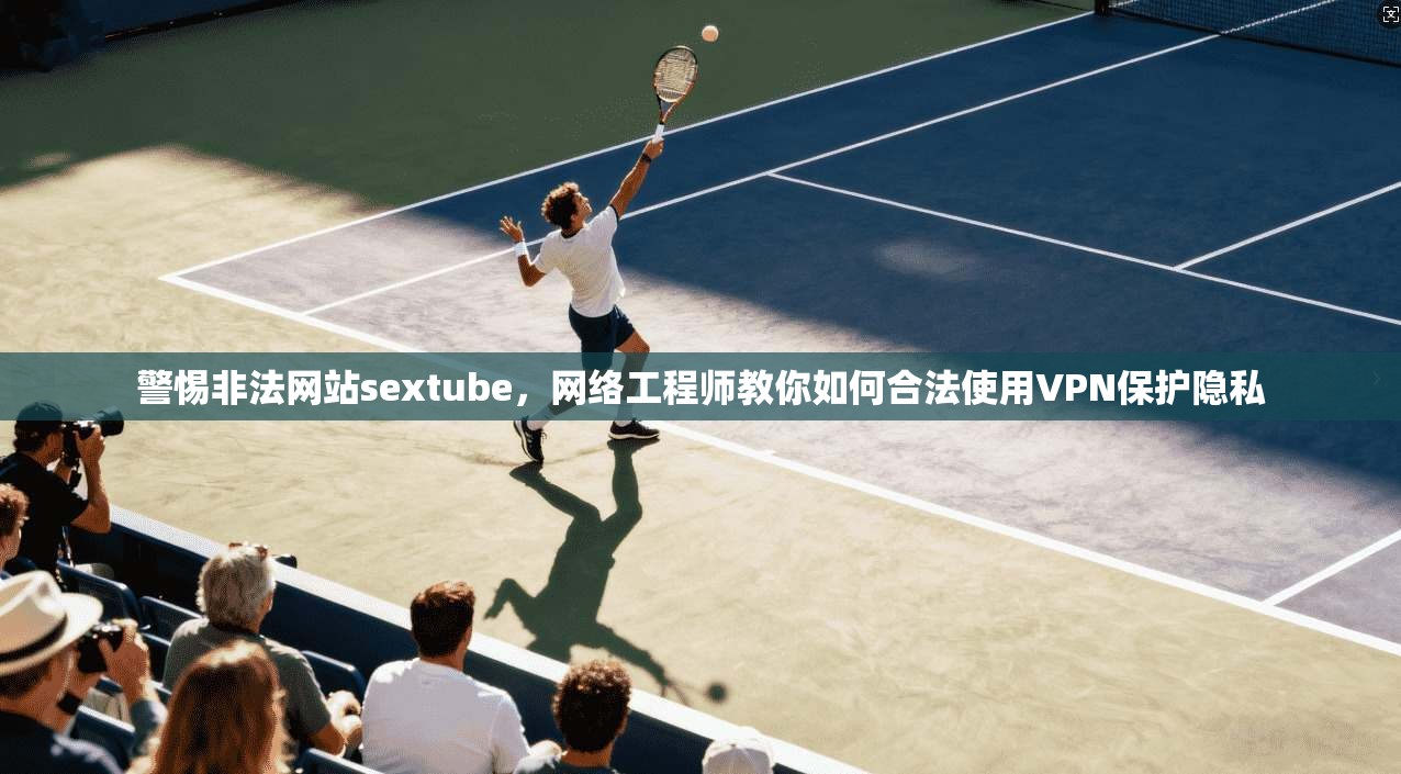 警惕非法网站sextube,网络工程师教你如何合法使用VPN保护隐私 第1张 警惕非法网站sextube,网络工程师教你如何合法使用VPN保护隐私 第1张